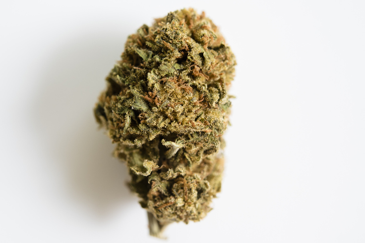 Marijuana bud on white background